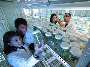 Science Laboratory 网站流量攻击